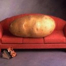 카우치(Couch) 이미지
