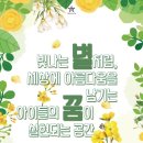 중앙태권도합기도교육관 이미지