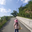 봉황교 주차장 이미지