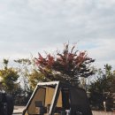 도고온천모두캠핑장 | 도고온천모두캠핑장 충남 아산 단체캠핑 가을캠핑요리 추천