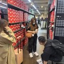 강남고속관광투어 이미지