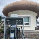 백암충전소 이미지