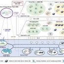 한국기계유통단지3 이미지