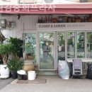 서울프라자 횡단보도 이미지