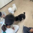 구이초등학교 이미지