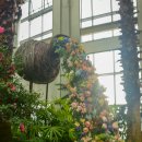 지리산허브벨리 이미지