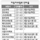 삼성화재 등 상위 4개 대형 손보사들 보험료인하 검토 이미지