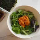 팔도비빔밥 | 자연산 우니 팔도성게 이용후기 F.성게알 비빔밥 만들기