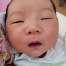 미르피아 | 달떡아 반갑당! 미르피아 산부인과 입원후기 제왕절개 킁!