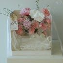 플레온느
