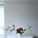 세희플라워 이미지