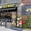 타코몰리(부천점) 이미지