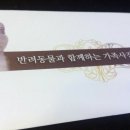 샵희