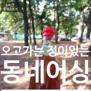 정든슈퍼 - 충주시 | 정든슈퍼