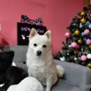 태우하우스 이미지