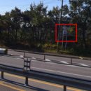 홍화원식당 이미지