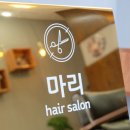 마리머리 이미지
