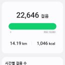 축령산 치유의 숲 안내센터 | 장성 축령산편백숲 하늘숲길 전망대 걷기좋은길 (전남 장성축령산자연휴양림 주차장 등산코스)