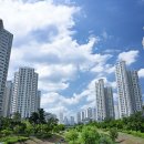 주식회사알파카부동산중개법인 이미지