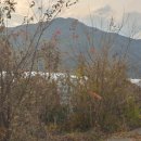 강남로(남) 이미지