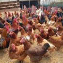 서파가든 이미지