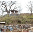 둥구나무민박 이미지