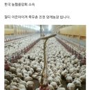 진천농장 이미지