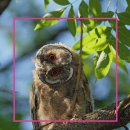 안성현대요양병원 | 삼성근처암요양병원 추천 치료 과정과 후기