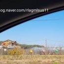 춘천흑염소도축장 이미지