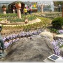 민들레울 이미지