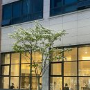 전주 &#39;리프커피랩&#39; 신시가지 디저트 맛집 감성카페 내돈내산 후기