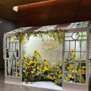 [서울 뮤지컬] 양요섭 류인아 뮤지컬 &#39;베르테르&#39; Werther 관람 후기 (+ 포토매틱 꿀팁)