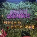 금정역 | [군포/금정]보드카한병이19,900원? 가성비 술집 맥주라운지 금정역점 후기