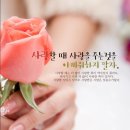 소리얼 카카오 검색결과