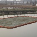 한국농어촌공사 앞 이미지