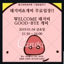 돼지개띠 이미지