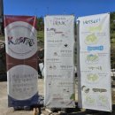 디캠 고흥 이미지