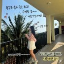 중부슈퍼 | [푸꾸옥 중부 숙소]두짓프린세스 내돈내산 /수영장 이용부터 룸서비스 이용 후기