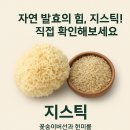 자연 발효의 힘, 지스틱! 직접 확인해보세요
