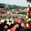 에버랜드 이미지