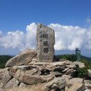 진고개약국