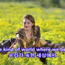 The Beach Boys - Wouldn’t It Be Nice 이미지