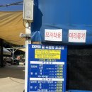 자연의꿈 | 파주 초리골 ‘자연의 꿈’ 수영장 | 지하수 + 평상 + 취사까지 완벽한 물놀이 솔직후기
