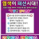 큐사랑광주지사
