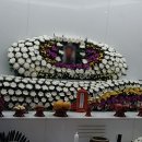바로콜상조