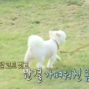 순심이