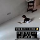 메종드엘라 네이버블로그