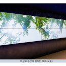 스카이비디오