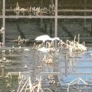 볼래로 문화거리 이미지