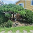 록게임장 이미지